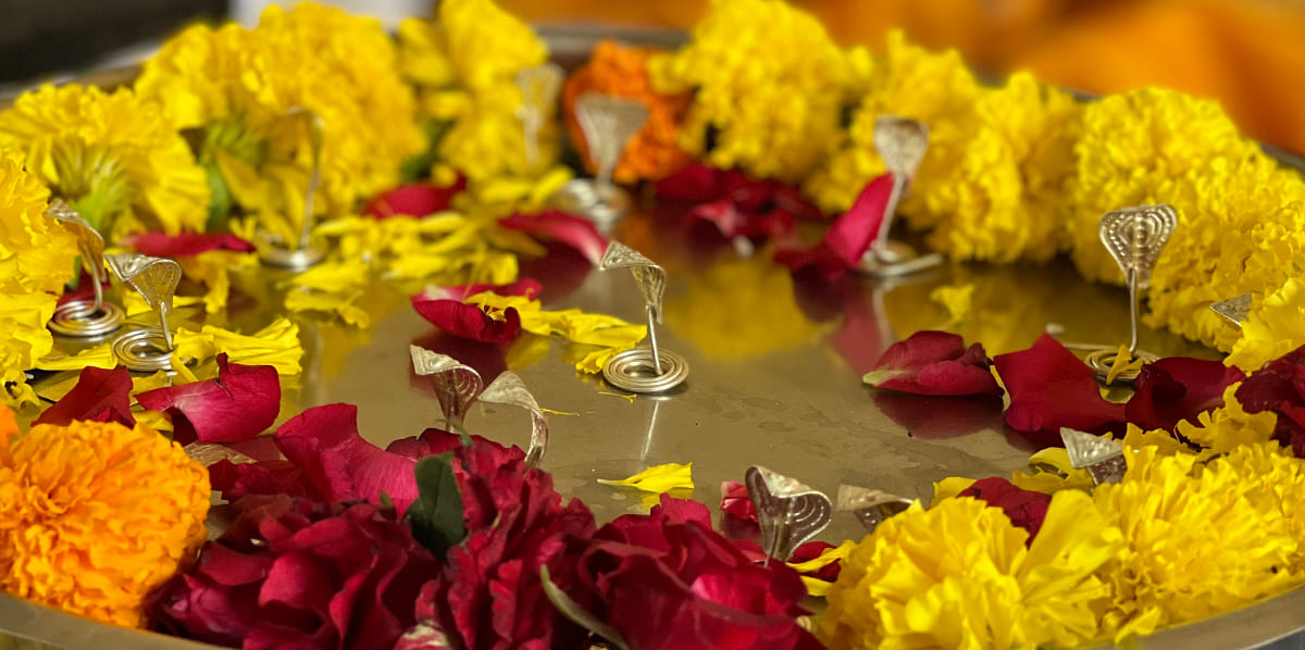 Kaal Sarp Dosh Puja